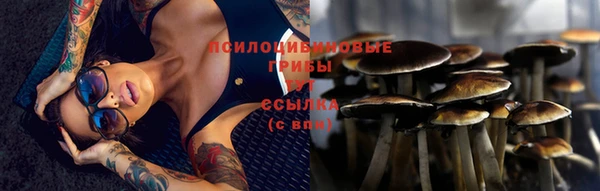 меф VHQ Богданович