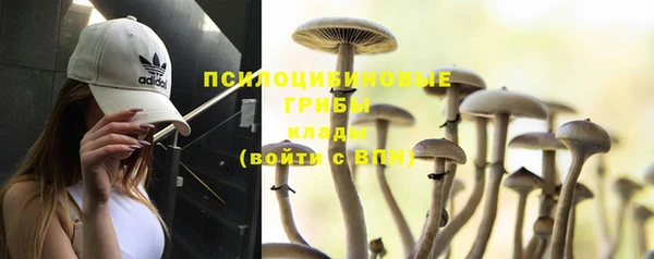 амфетамин Богородицк