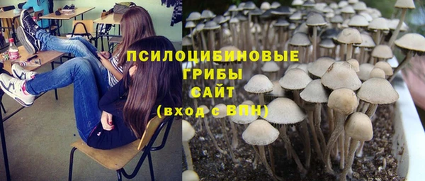 амфетамин Богородицк