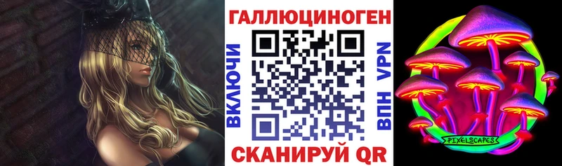 Псилоцибиновые грибы Psilocybe Козельск